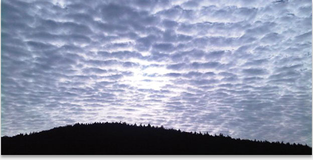 Altostratus translucidus